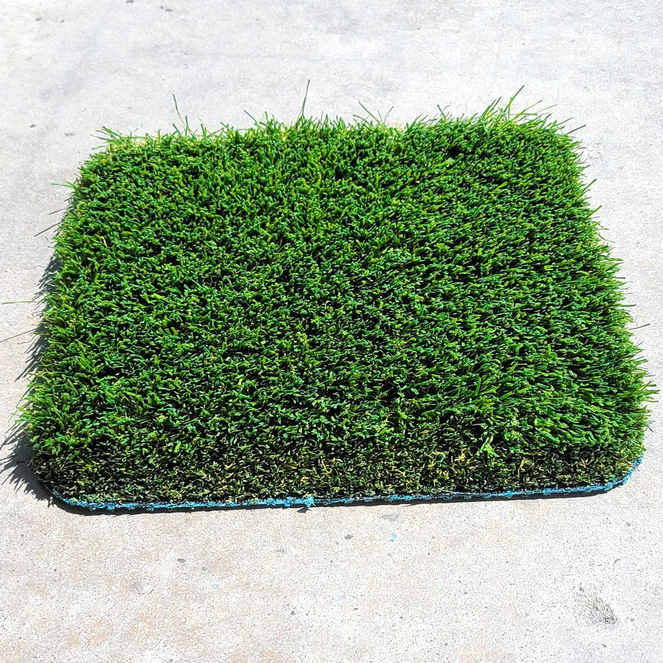 Artificial grass - Redwood blade by Desert Turf